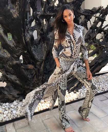 Joan Smalls in Abu Dhabi Joan Smalls in Abu Dhabi 5